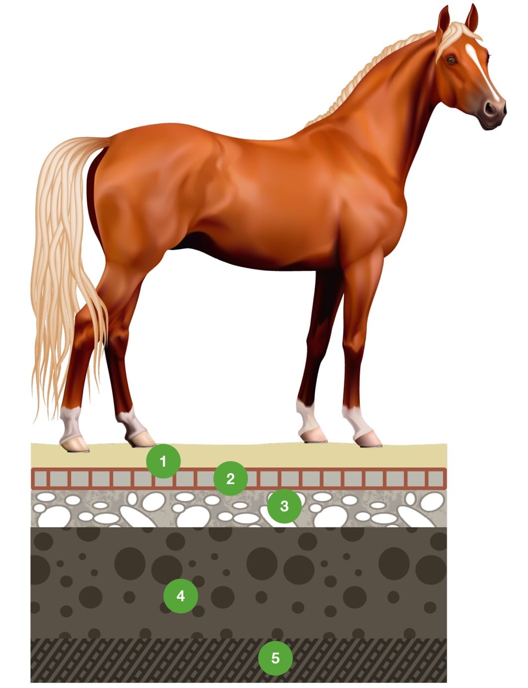 ecoraster montaz 3