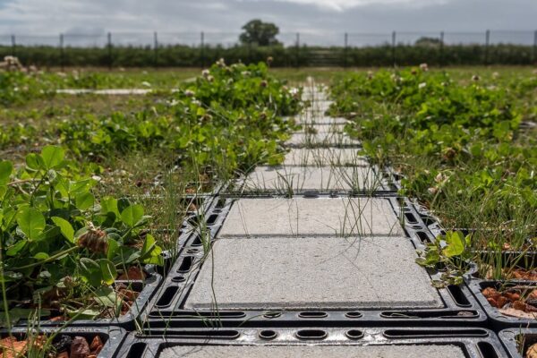 ecoraster parking 4
