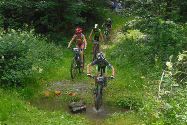 ecoraster w lesnictwie 1