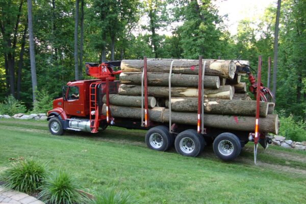 ecoraster w lesnictwie 2