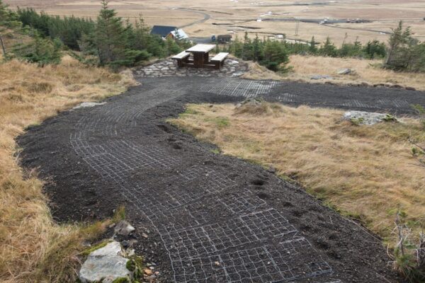 ecoraster w lesnictwie 3