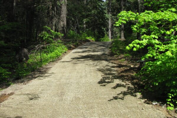 ecoraster w lesnictwie 4