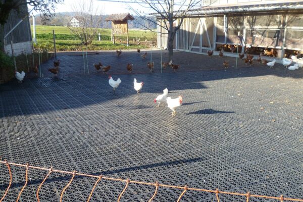 ecoraster w rolnictwie 5