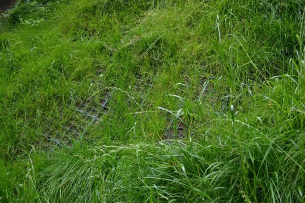 umocnienia ecoraster 4